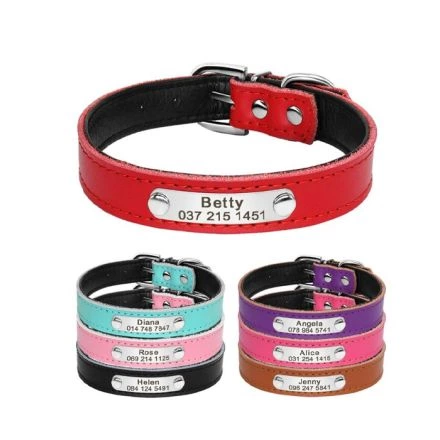 Collar con Placa para Perro y Gato