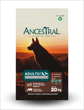 Ancestral Adulto