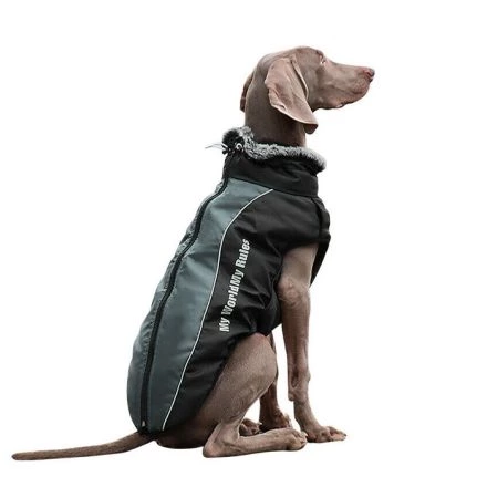 Parka Para Perro Grande Gris oscuro