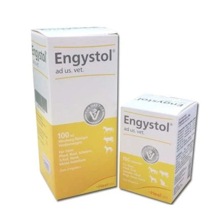 Engystol Jarabe 100 mL